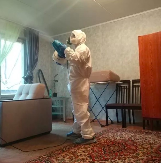 дезинсекция квартиры в Лысьве